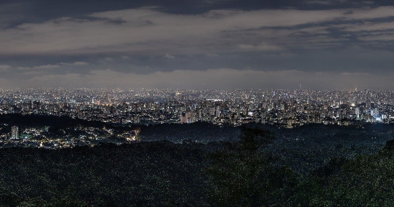 Caminhada Noturna no Parque Estadual da Cantareira ganha nova edição em setembro